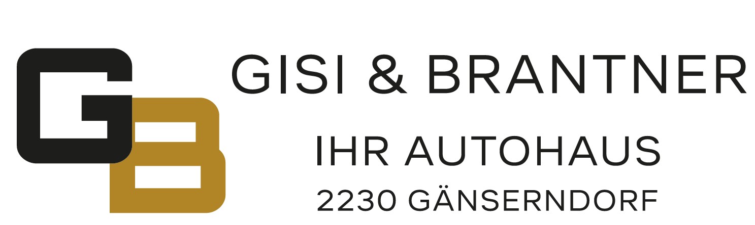 Gisi & Partner GmbH